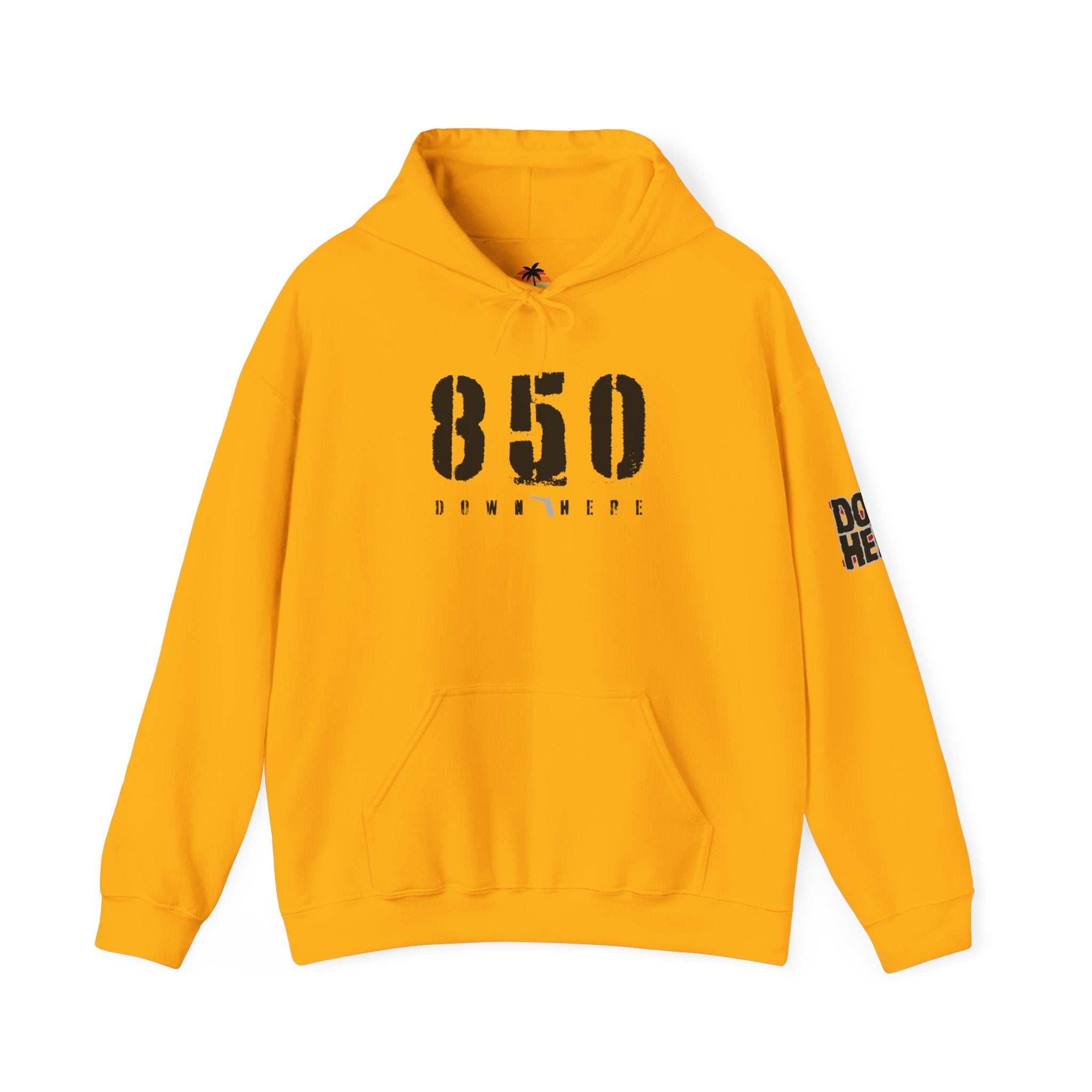 850 Distressed Hoodie