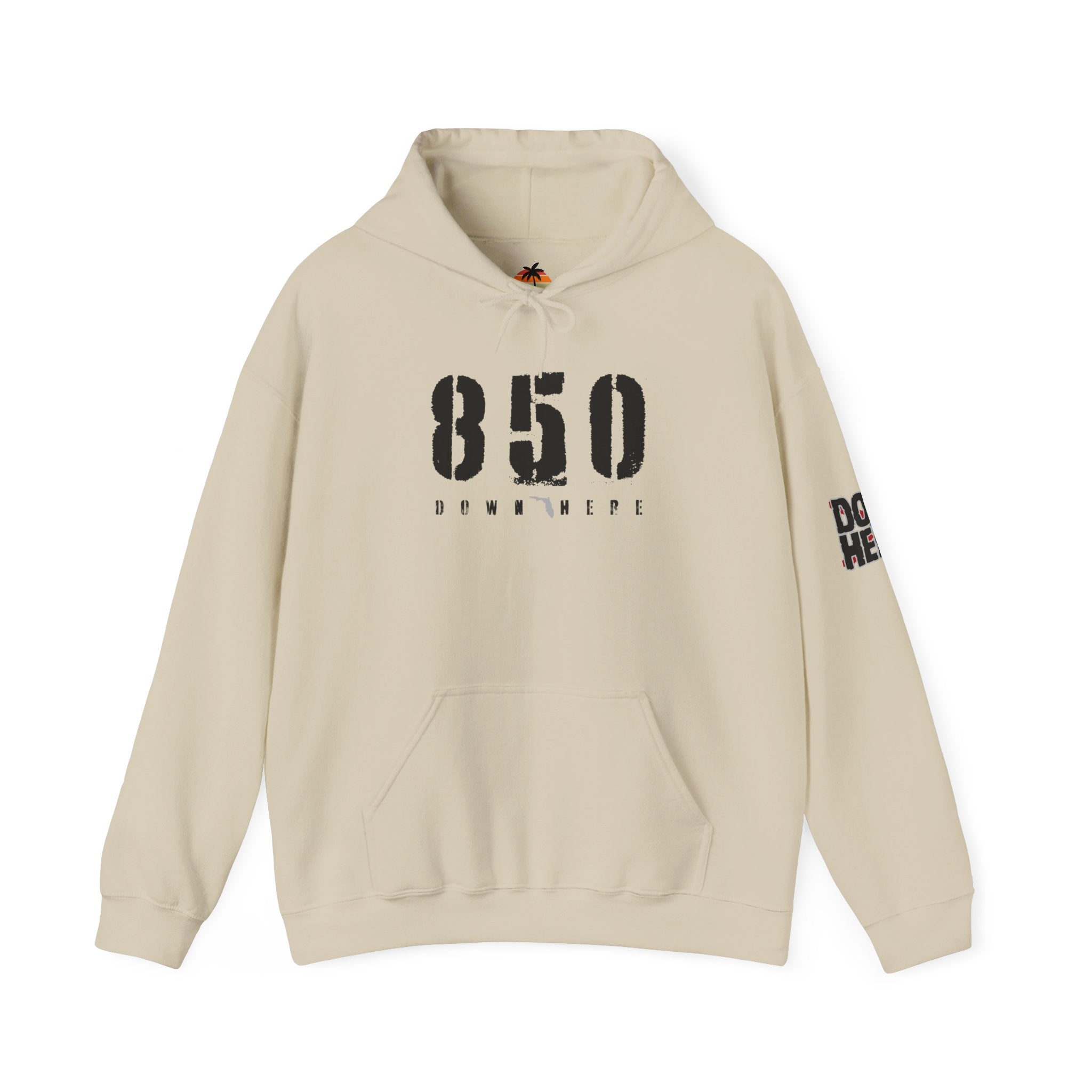 850 Distressed Hoodie