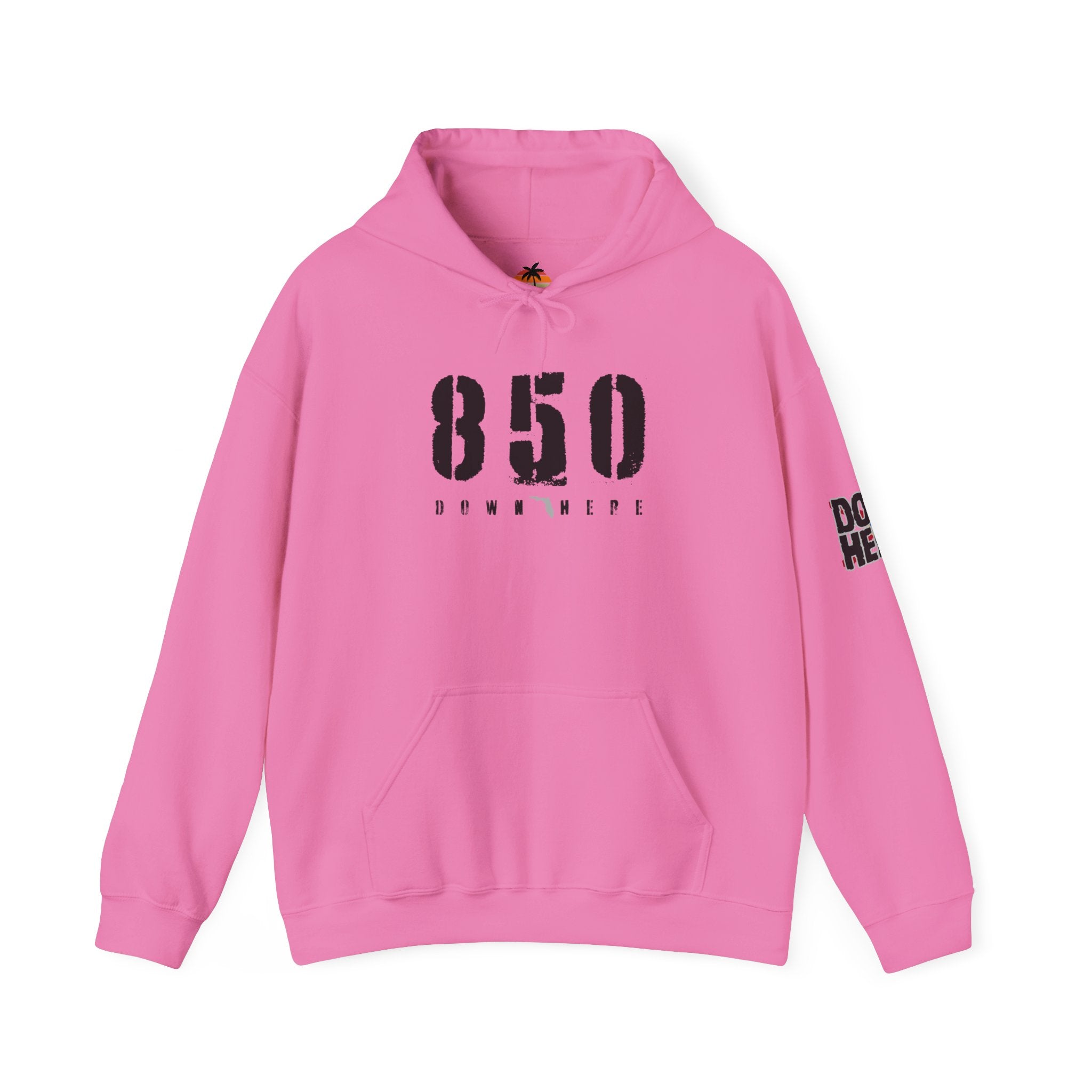 850 Distressed Hoodie