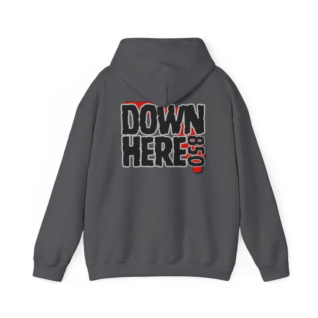 DH FL Hoodie