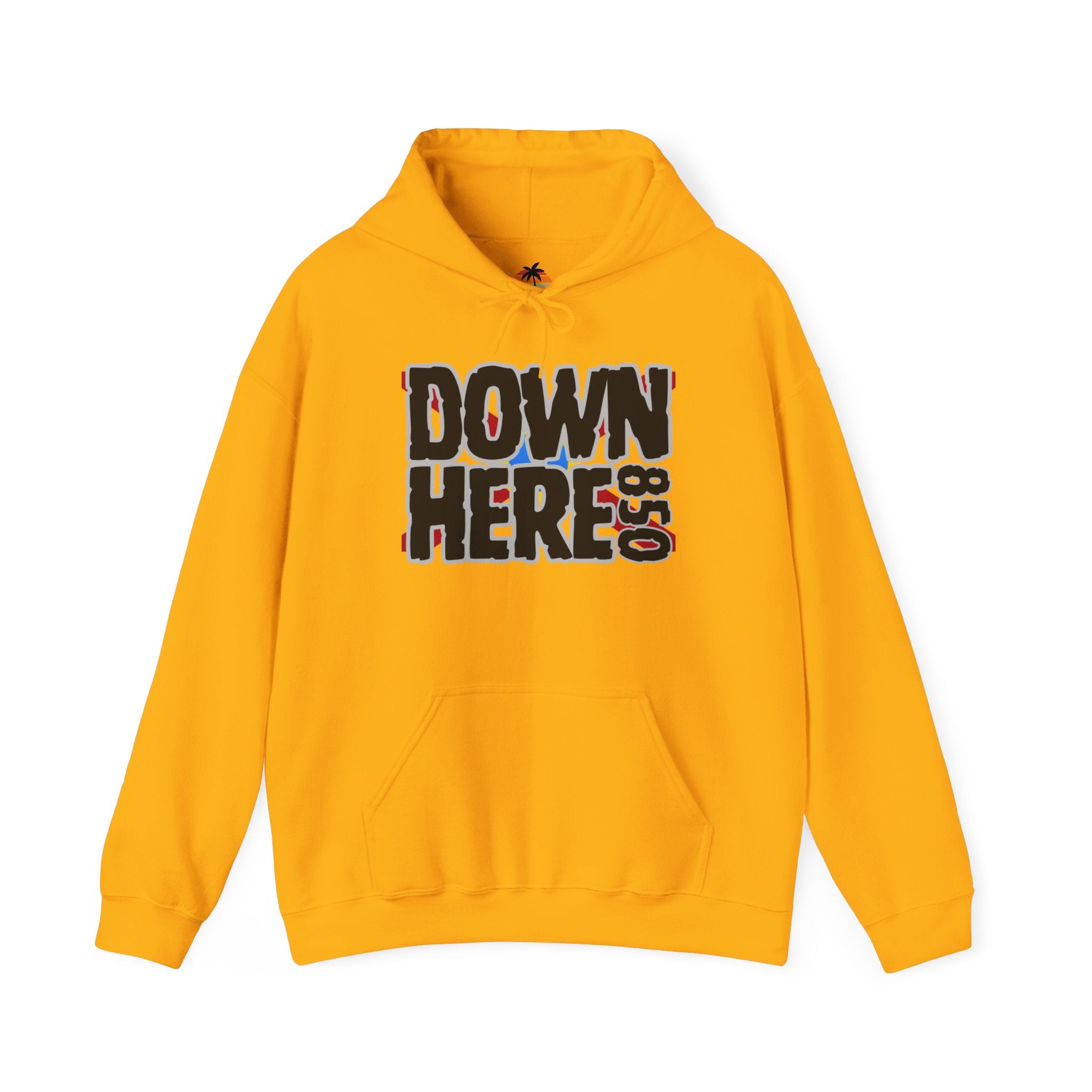 DownHere FL Flag Hoodie