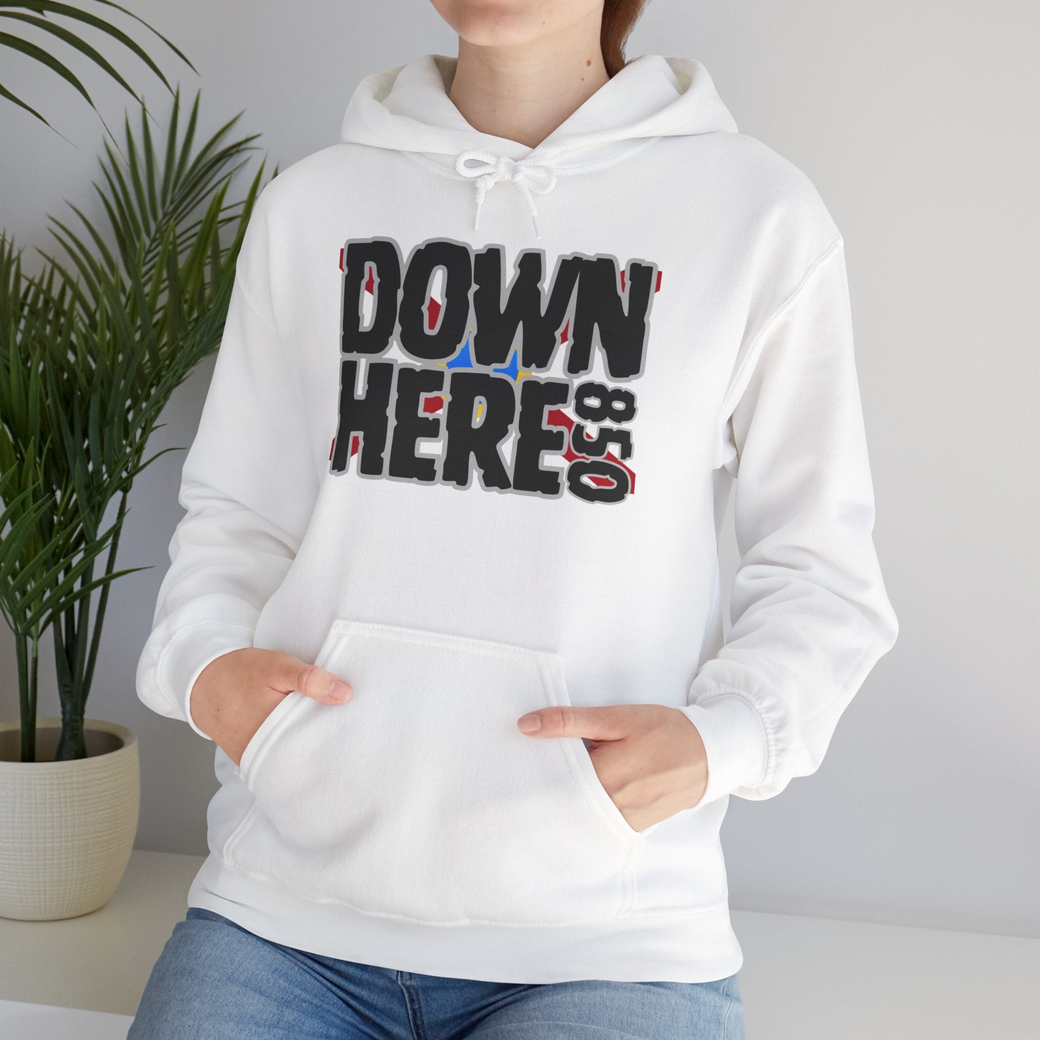 DownHere FL Flag Hoodie